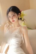 终止其省第十三次